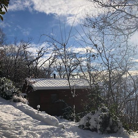 Villa Rifugio Nel Bosco Astano Exterior foto