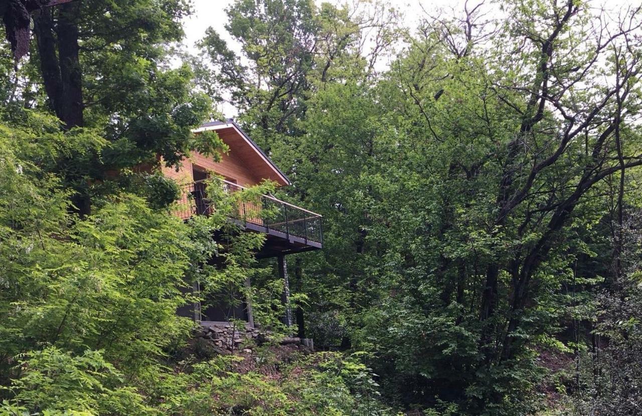 Villa Rifugio Nel Bosco Astano Exterior foto